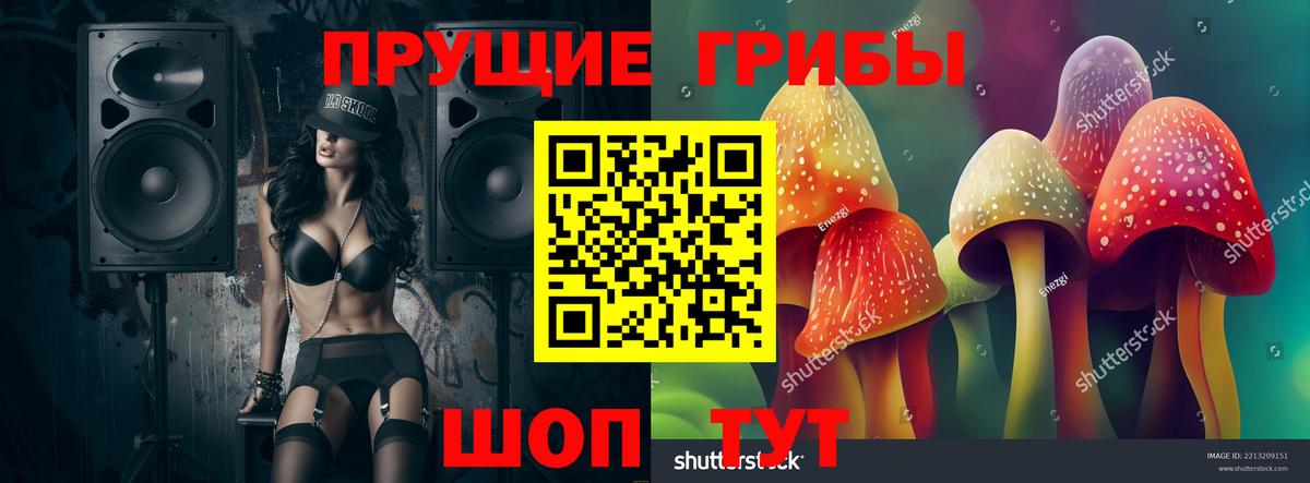 продажа наркотиков  Вход с VPN  Краснознаменск  Галлюциногенные грибы Psilocybe 